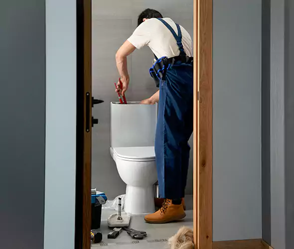 Professional Plumbers for Toilet Bowl Replacement in Soquel, CA: Schedule Affordable Toilet Replacement Services With Us