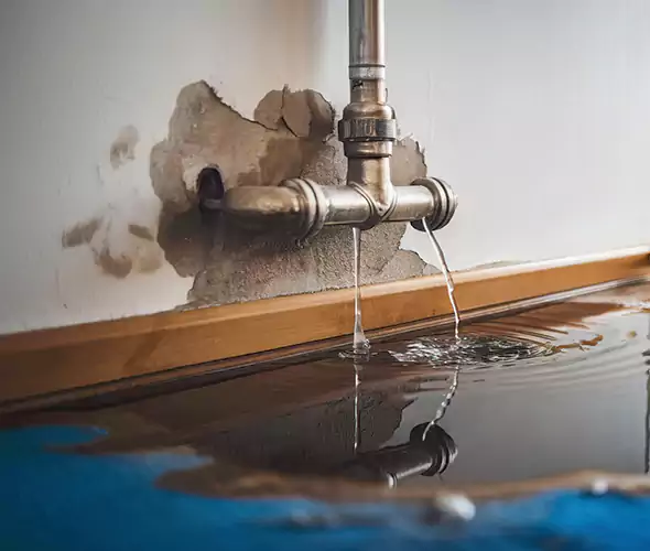 Professional Water Damage Restoration Experts in Soquel, CA — Fast, Reliable & Certified