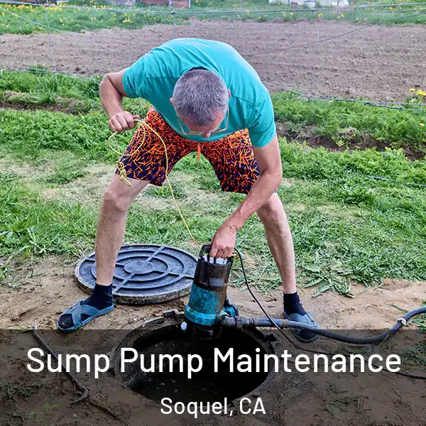  Sump Pump Maintenance Soquel, CA